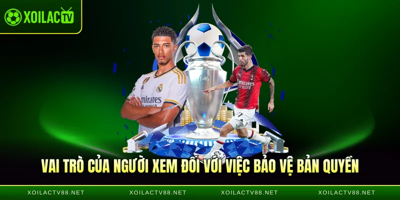 Vai trò của người xem đối với việc bảo vệ bản quyền